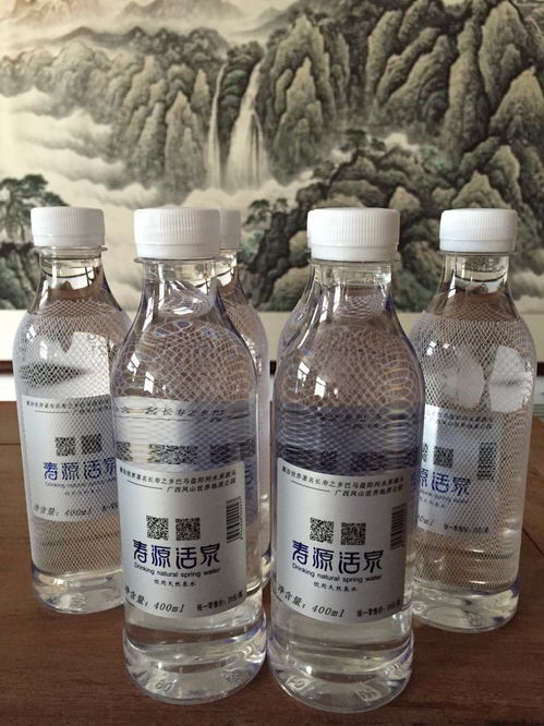 廣西鳳山榮事達(dá)飲料食品有限責(zé)任公司 匠心打造健康飲品，助力地方產(chǎn)業(yè)騰飛